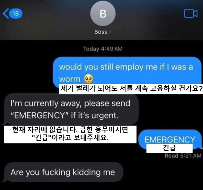 새벽 4시, 보스에게 문자보내기1.jpg