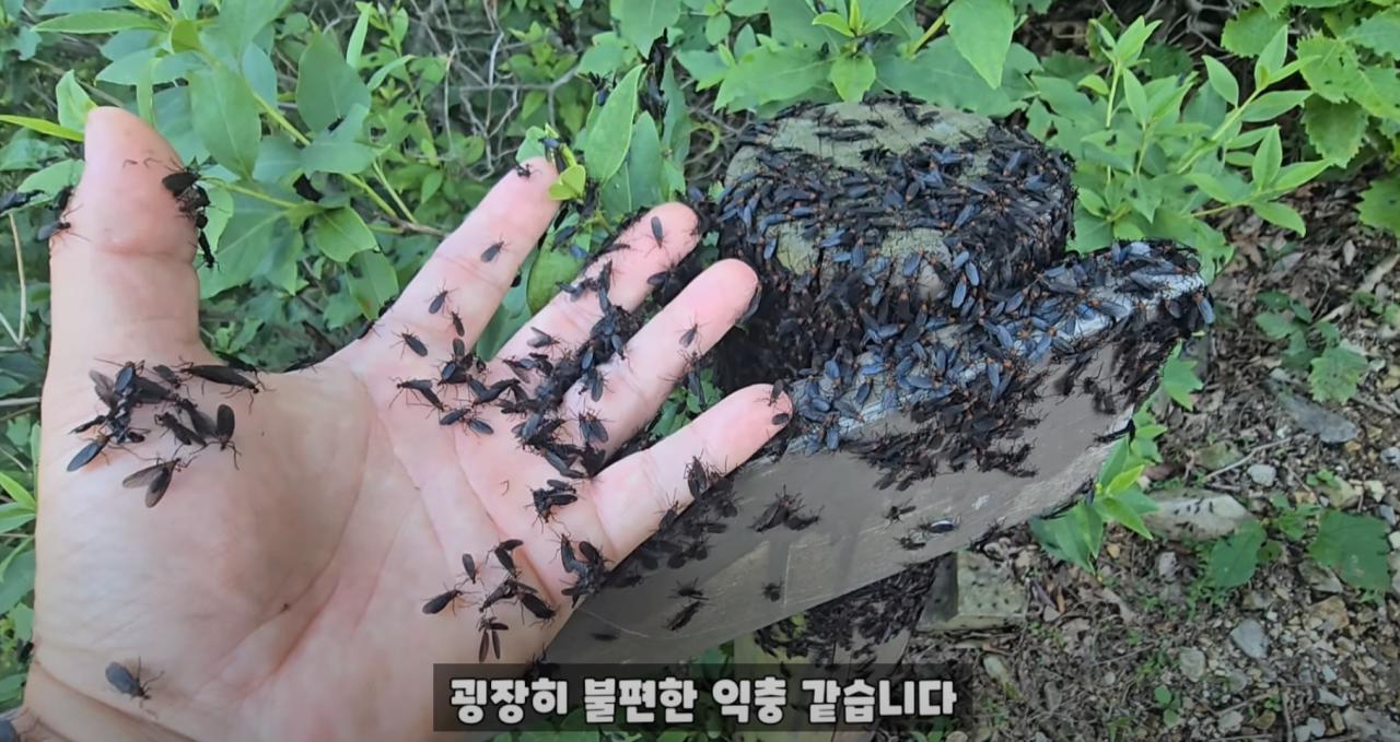 24post.co.kr_011.png.jpg