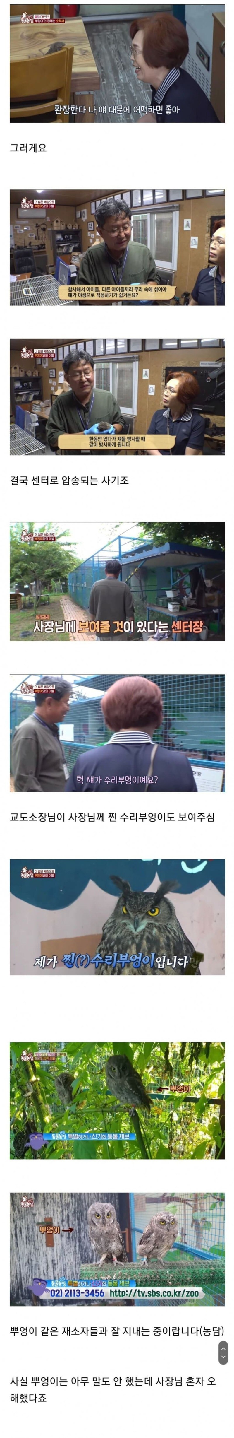 아기 부엉이 키우는 사장님3.jpg