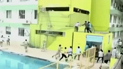 표범공격.gif