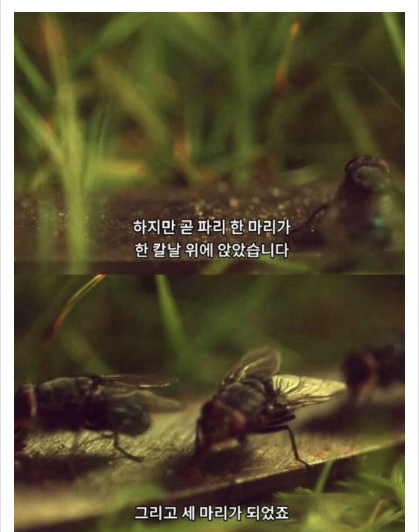 24post.co.kr_005.jpeg