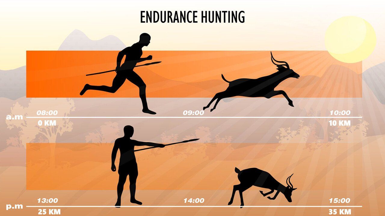 Endurance_hunting_timelapse.jpg