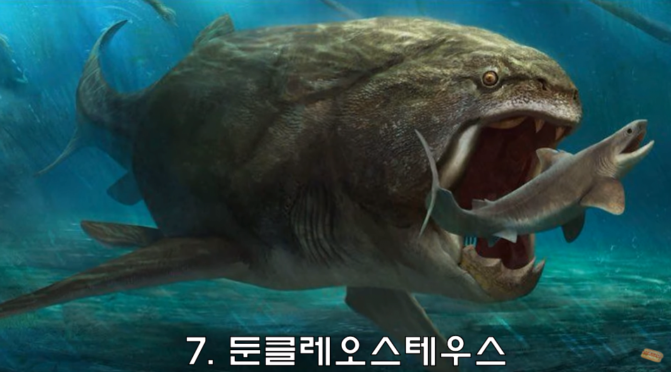 24post.co.kr_007.png