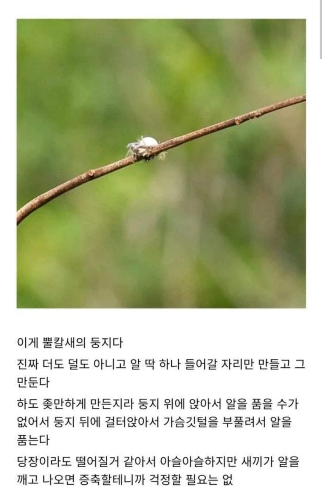 24post.co.kr_003.jpg