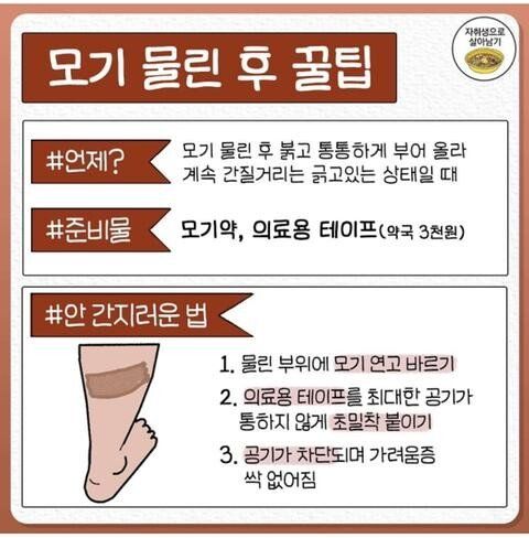 김짤.com_007.jpg