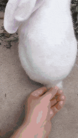 E35F86C7-702E-4681-9EC3-636008704A97.gif